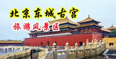 曰B视屏中国北京-东城古宫旅游风景区